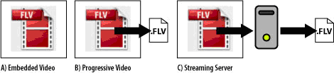 Flash Video Delivery Methods